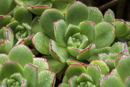 Сѧʱż ׶԰Ԫʱͣ԰