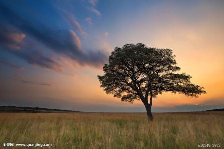 ƺӷⶳٶȼӿ쳤ȴﵽ631.3 ǧ׷