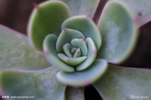 Òø±£¼à»á³ǫ̈¶ÀÁ¢¸öÈ˱£ÏÕ´úÀíÈ˼à¹Ü¹æ¶¨