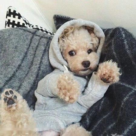 ТϪ´Ŀ Ԥƽ2Ͷ1.6